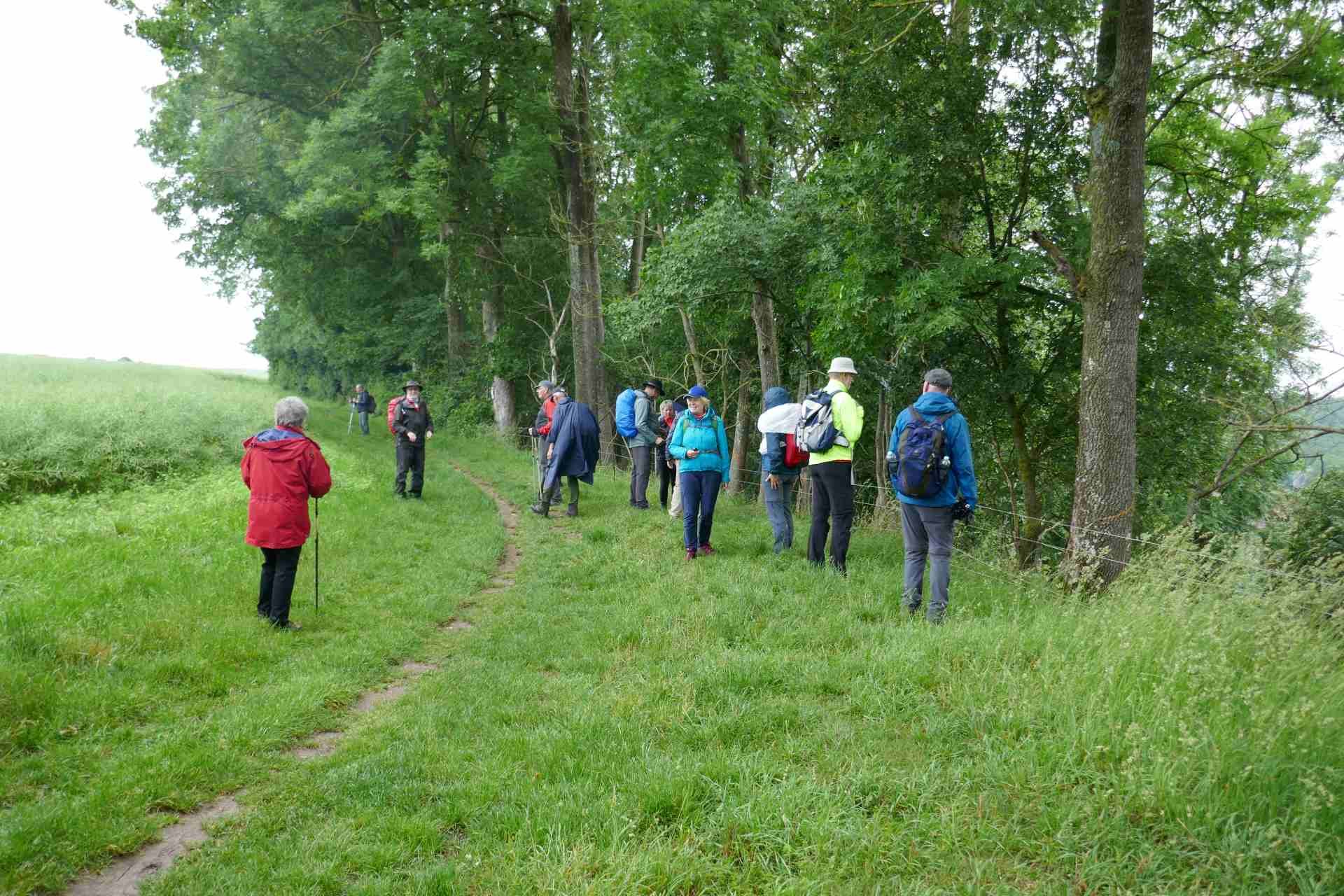 05 Albschäferweg - 2 Tages Wanderung im Juni